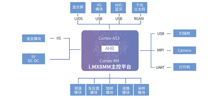 全自动化学发光免疫分析仪方案拓扑图